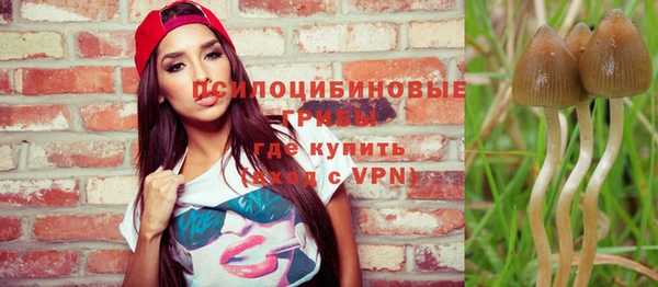 винт Няндома