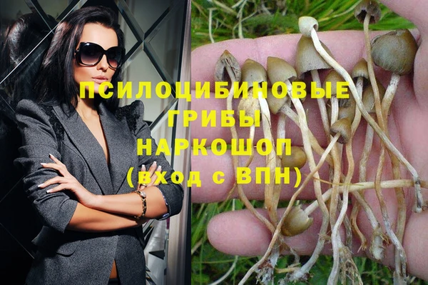MESCALINE Алзамай