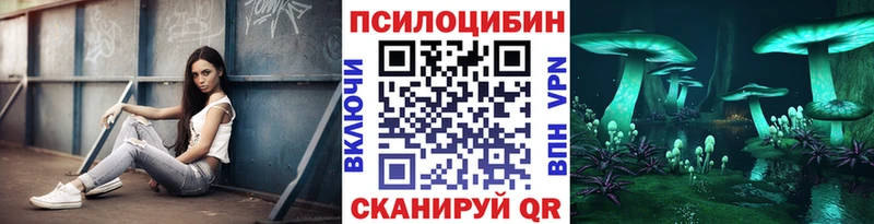 купить наркотики цена  Балтийск  Псилоцибиновые грибы Cubensis 